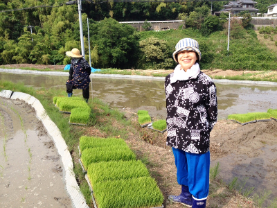 田植えをする門田洋子